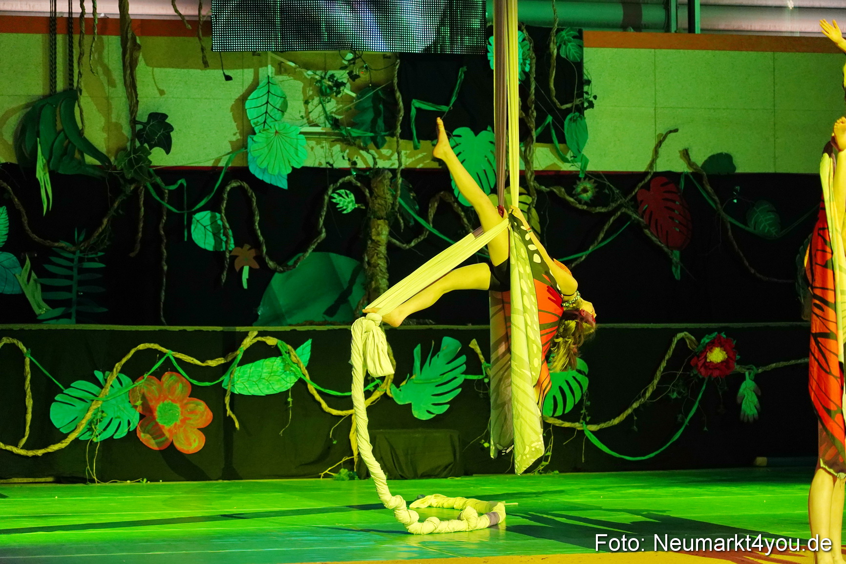 Artico Artistical Dschungelbuch 2020 0045